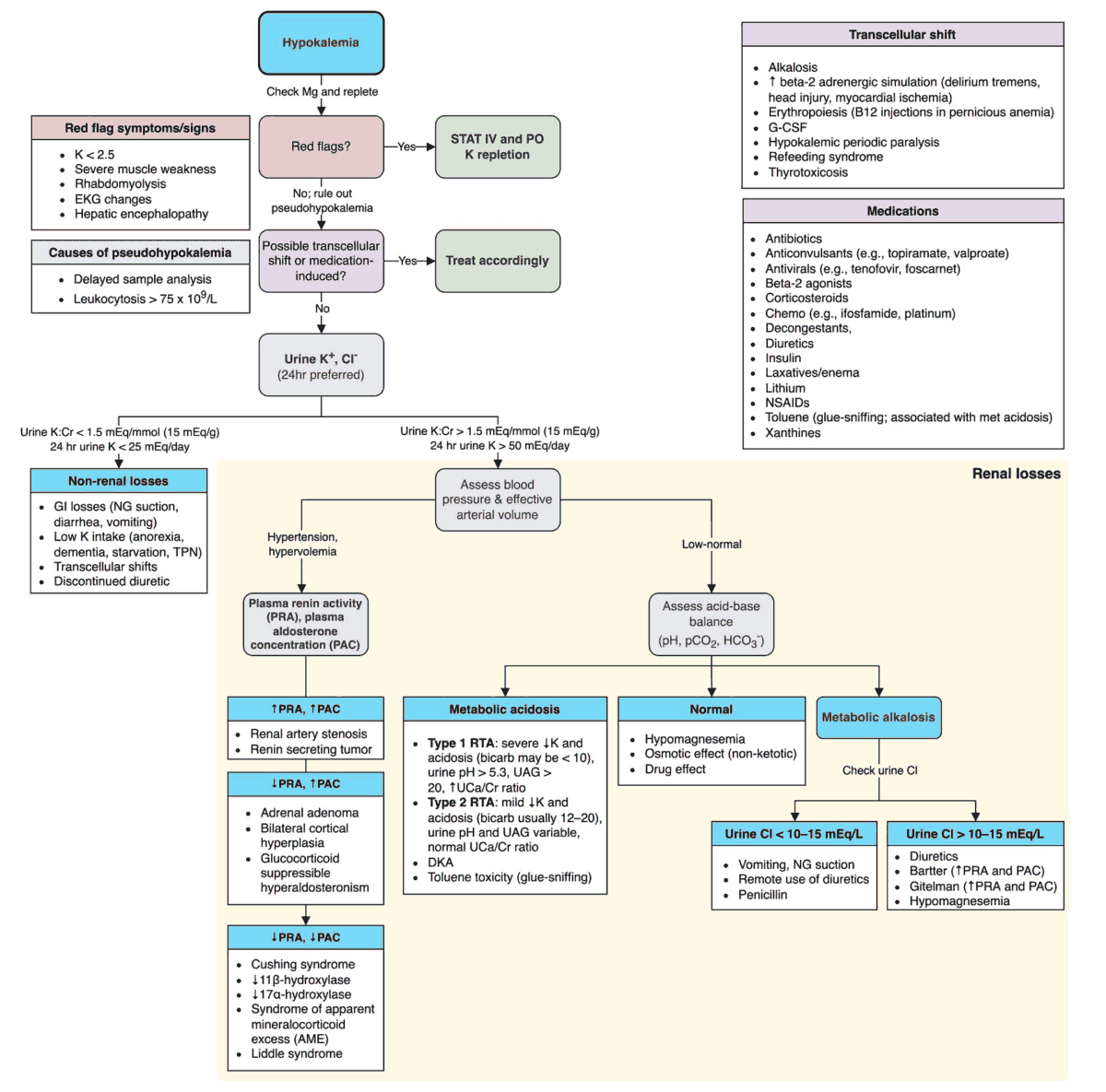 Hypokalemia - Diagnosis Algorithm