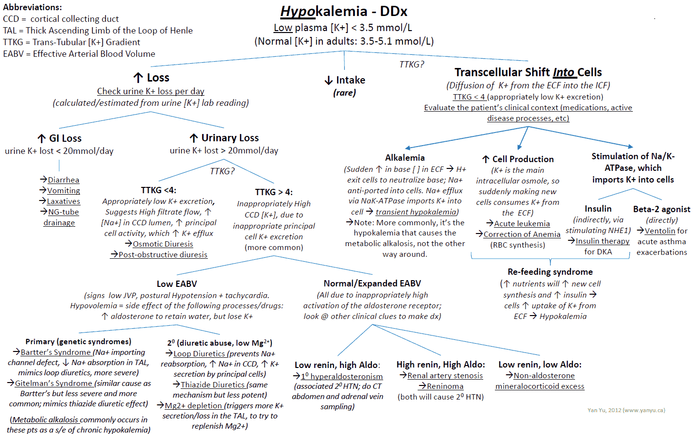 Hypokalemia - Differential Diagnosis