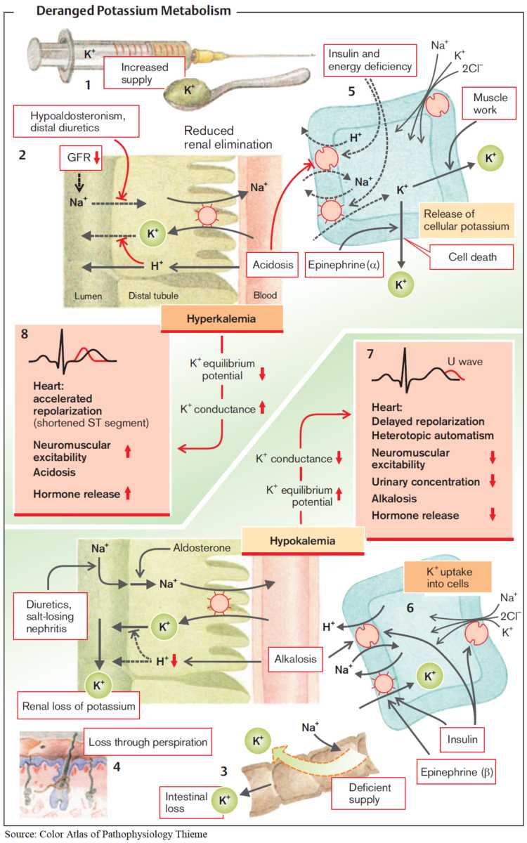 Pathophysiology of Hyperkalemia and Hypokalemia