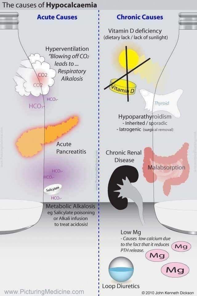 The Causes of Hypocalcemia