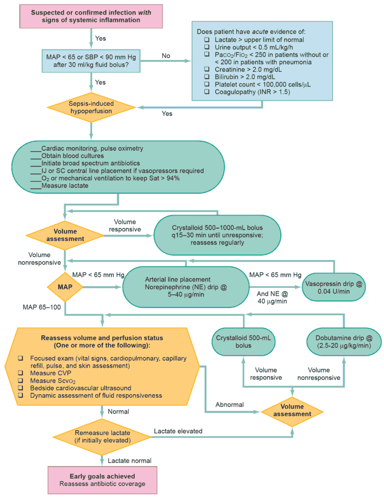 Read more about the article The Critical Hours That Decide Sepsis Outcomes