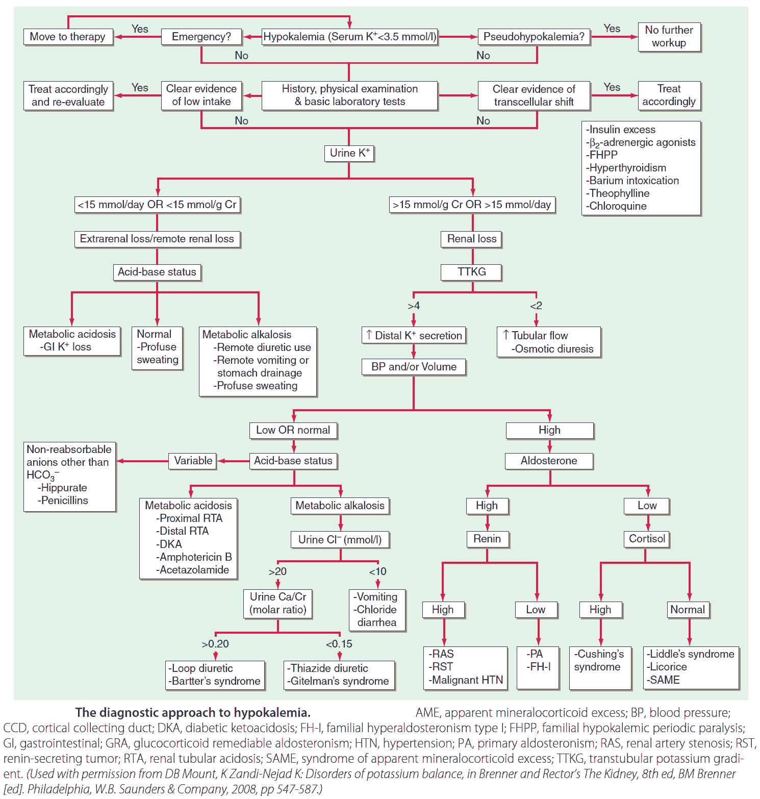 The diagnostic approach to hypokalemia