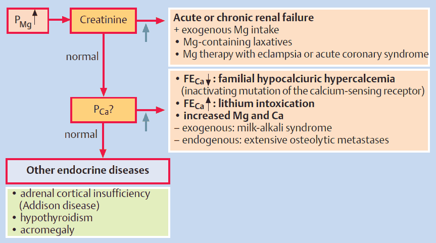 Diagnostic approach to hypermagnesemia