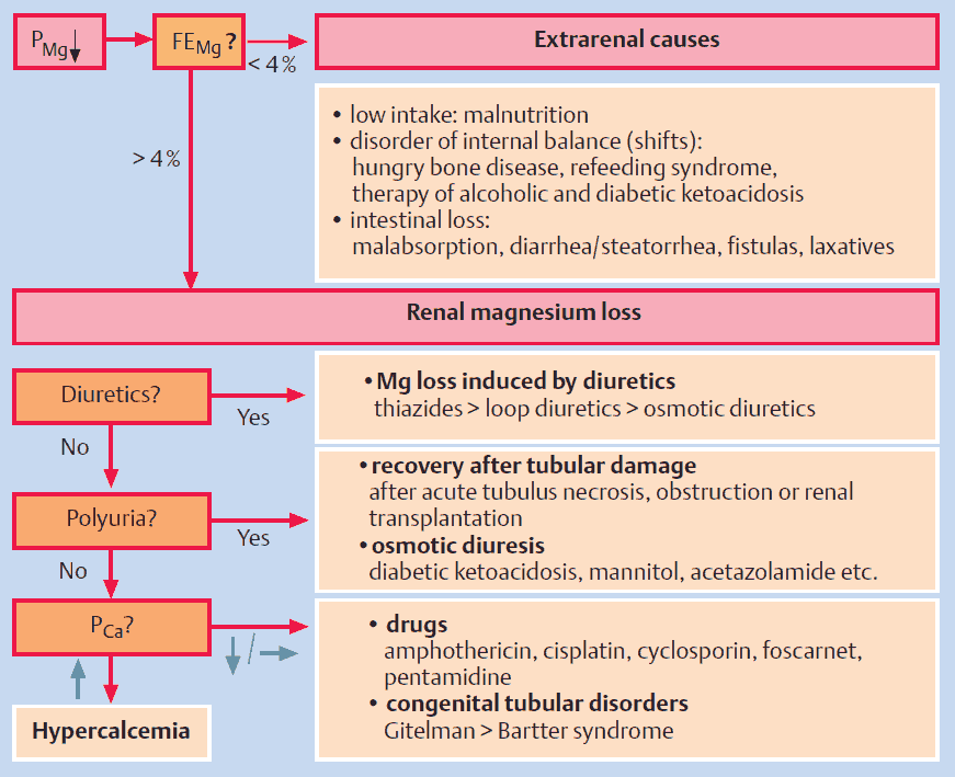 Diagnostic approach to hypomagnesemia
