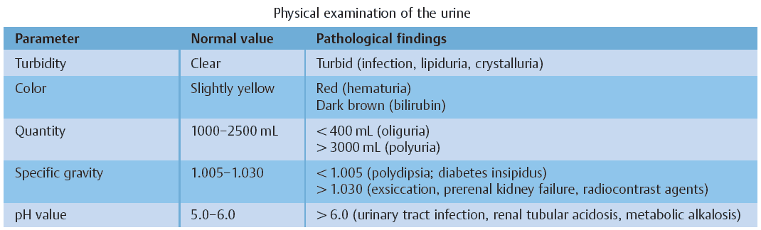 Physical examination of the urine