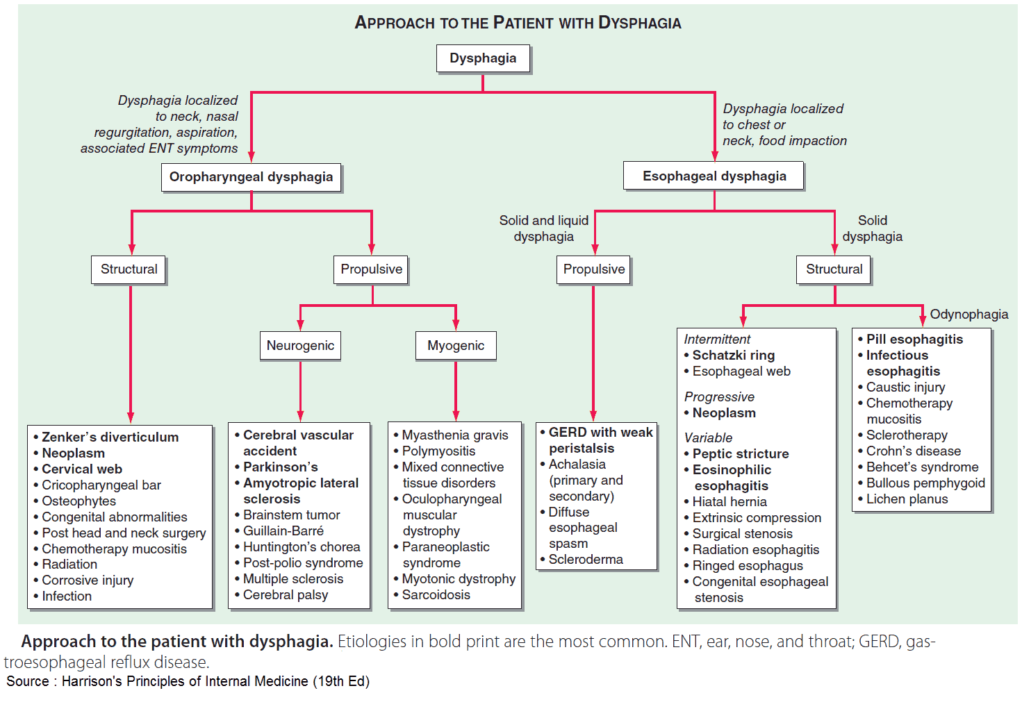 Approach to the patient with dysphagia (Difficulty Swallowing)
