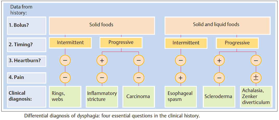 Differential diagnosis of dysphagia (Difficulty Swallowing) - four essential questions in the clinical history