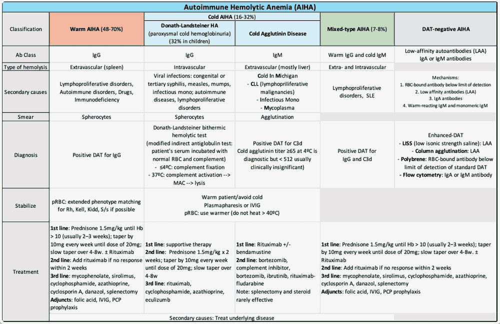 Autoimmune Hemolytic Anemia - Summary