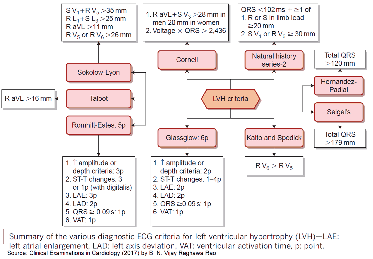 Read more about the article Left Ventricular Hypertrophy (LVH): How to Recognize it on ECG [With Examples]